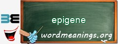 WordMeaning blackboard for epigene